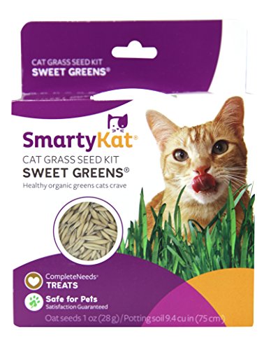 SmartyKat Sweet Greens Cat Grass Kit- 1 Oz