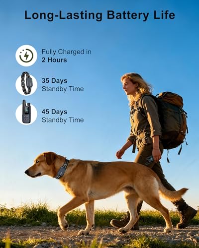 Jugbow Dog Shock Collar - 4500FT Dog Training Collar with Remote, IPX8 Waterproof Electric Dog Collar with 4 Training Modes, Security Lock, Rechargeable eCollar for 10-120lbs Dogs(Dark Blue 1 Pack)