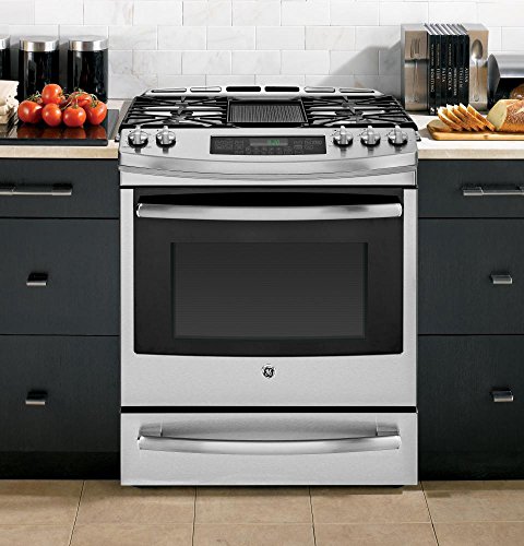 1 PGS920SEFSS+Capacity+Tri+Ring+Self+Clean+Stainless