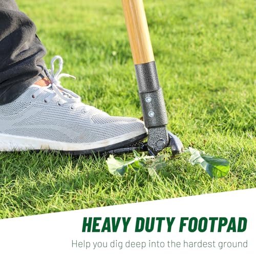 ORMALLA Weed Puller, 43.7in Long Handle Weed Remover, Dandelion Removal Tool, Natural Bamboo Handle and 4 Claws, Stand Up Garden Weed Root Remover, Pet Friendly (43.7in)