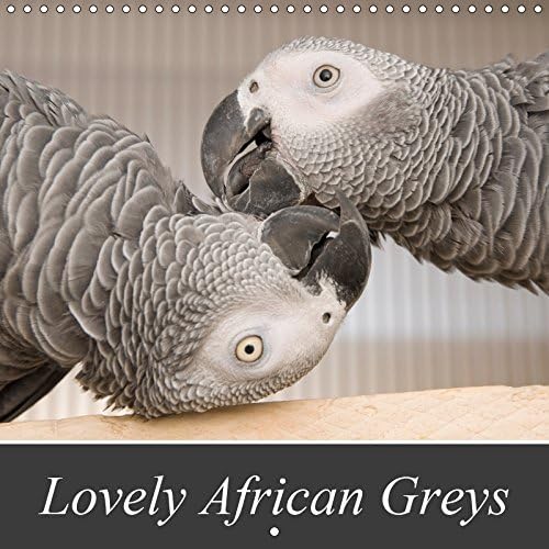 Lovely African Greys 2019: Unique photos of beautiful grey parrots (Calvendo Animals)