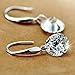FINE&FOOK S925 Sterling Silver Naked Drill Chandelier Zirconia Diamond Hook Dangle Earrings,9mm