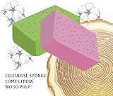 Greenet Facial Sponges 60 Ct White Beige Cellulose Exfoliation Cleansing view 7