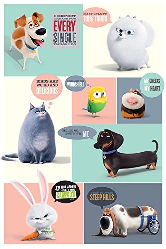 Amazon.com: The Secret Life Of Pets - Movie Poster / Print ...