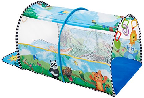 baby einstein tunnel