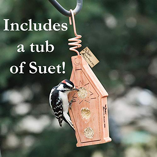 LakeWoodGift Best Homemade Mini House Hanging Bird Suet Feeder for Outdoors with copper hook Wild Birds garden lover gift good quality eucalyptus wood watcher station - Thumbnail 6