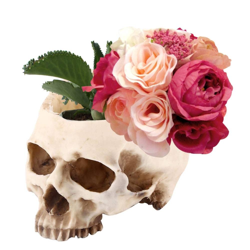 Tyenaza Skull Shape Pot, Resin Skull Shaped Head Flower Plant Ornaments Container Windowsill Decoration for Home Office Desk (6.5×4.5×4.3 Inch)