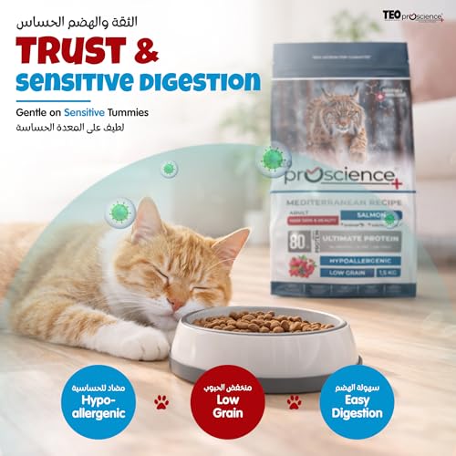 Teo Premium Proscience Salmon Adult Cat Food 1.5KGX6 Packs Total 9KG Premium Hypoallergenic Formula with 82% Animal Protein, Hairball Control, Omega 3 & 6, Mediterranean Fruits, Taurine & Prebiotics