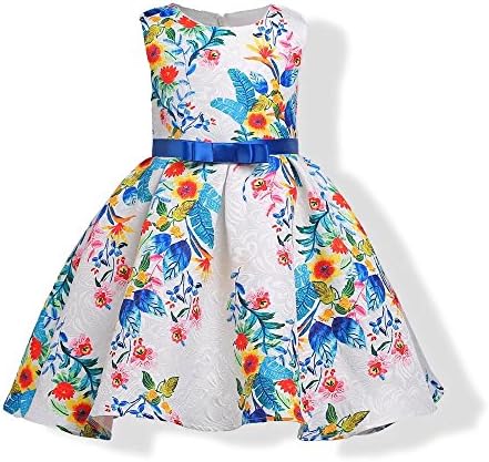 ZaH Baby Girl Dress Kids Lace Party Wedding Flower Princess Birthday Dresses Gowns(Colorful,7-8Y)
