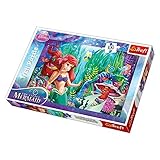 Trefl Disney Princess Hide and Lakek Puzzle (100 Pieces)