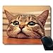 Curious Cute Cat Look at You with Eager Eyes on Table Customized Mouse Pad