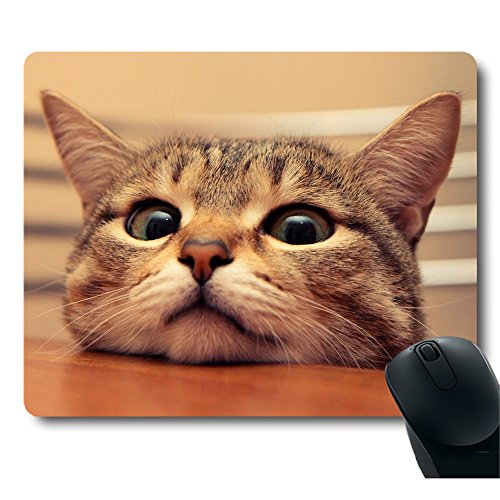 Cat Mousepads Kritters in the Mailbox Cat Mousepad