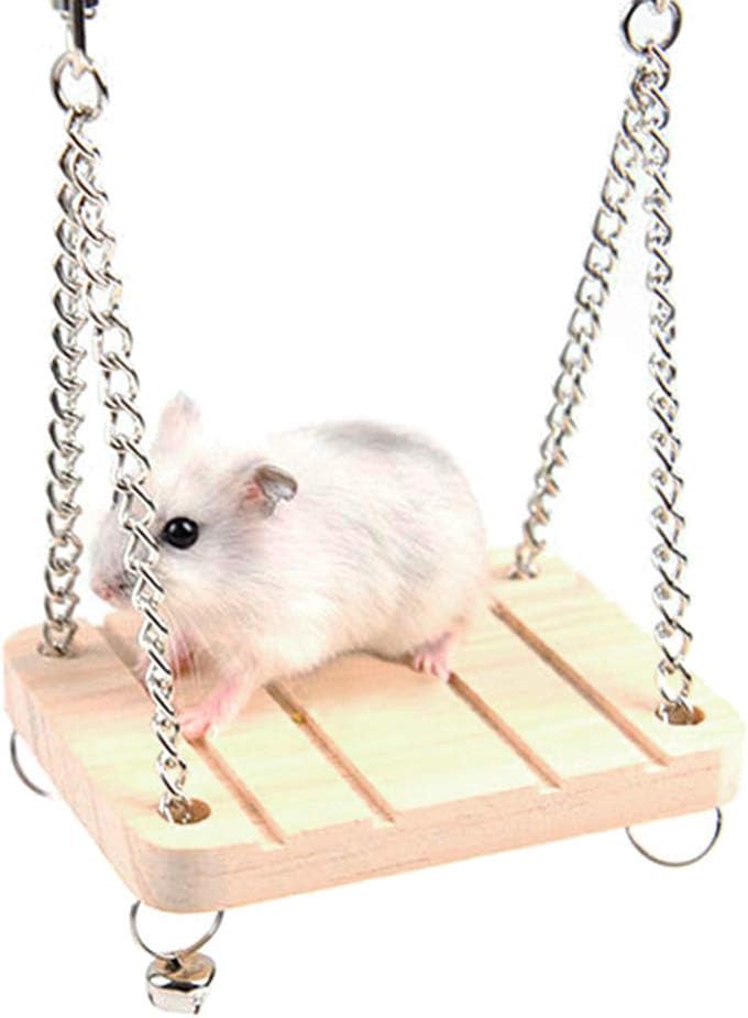 hamster on a swing