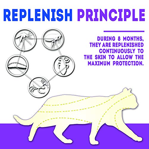 image for KEXMY Cat Tick and Flea Collar - Cat Flea Treatment - 8 Months Flea Co