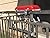 Cuisinart Petit Gourmet Portable Gas Grill