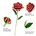 Gold Rose Love Forever Long Stem Gold Foil Trim Dipped 24K Rose Best for Her Best for Mom, Wife, Girlfriend, Best for Your loved Ones