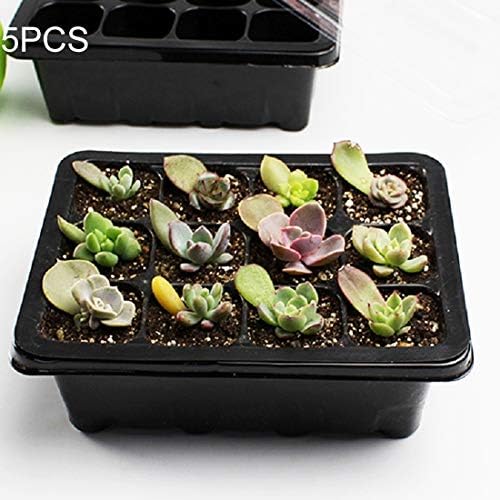 5 PCS Seedling Tray Sprout Plate 12 Holes Nursery Pots Tray Lids Box for Gardening Bonsai Mini Greenhouse Nursery Plate (Size : Hc9870b)
