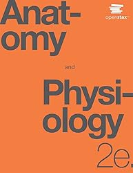 Anatomy and Physiology 2e by OpenStax