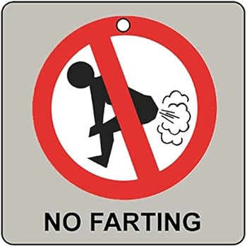 bigfoot 7 air freshener Amazon.com: NO FARTING CAR AIR FRESHENER: Automotive