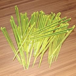 BambooMN - Triangular Prism Plastic Fruit Appetizer