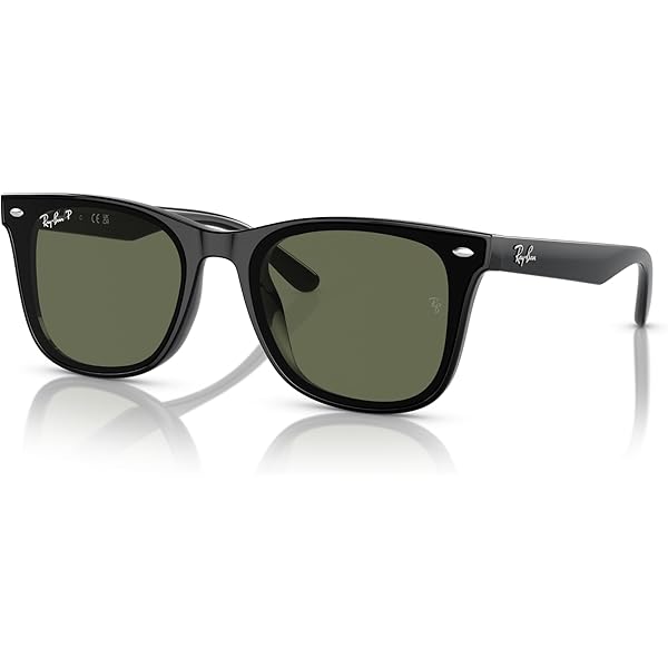 Amazon.com: Ray-Ban RB4423D Sunglasses, Black/Brown, 66 mm Amazon.com: Ray-Ban RB4423D Sunglasses, Black/Brown, 66 mm