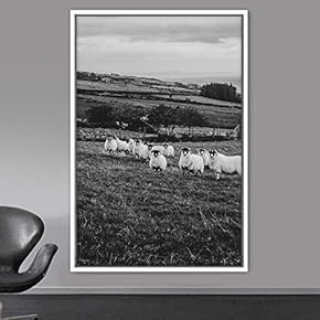 signwin Framed Canvas Wall Art Field of LambsAnimals...