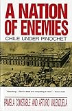 A Nation of Enemies: Chile Under Pinochet (Norton Paperback)