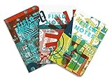 Field Notes M x L x B x D Limited Edition Graph Memo Books, 3-Pack (3.5x5.5-Inch)