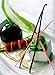 Vanilla Products USA 10 Tahitian Near Gourmet Grade A/B Vanilla Beans PNG 4~5