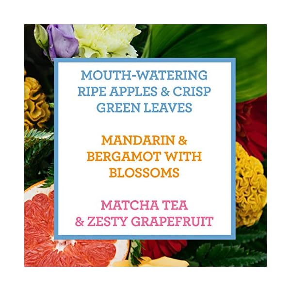 Cath-Kidston-Hand-Cream-Trio-3-x-30ml Cath Kidston Blossom Birds Assorted Hand Cream Trio Gift Set | Enriched With Shea Butter | Cruelty Free & Vegan Friendly…