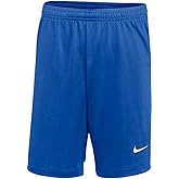 Nike Youth DRI-FIT Classic II Shorts