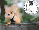 vest baby carrier