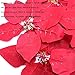 M2cbridge Artificial Christmas Flowers Red Velvet Poinsettia Floral Picks for Christmas Wreath Tree Ornaments (50pcs Red)