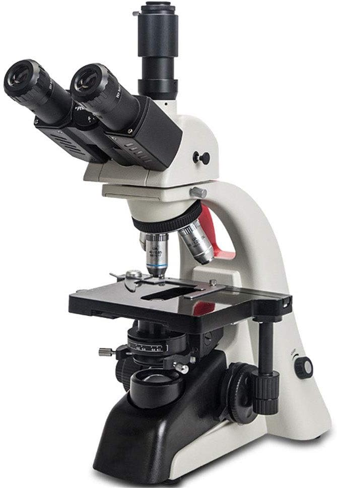 9 Mejores Microscopios ópticos Microscopio Optico Biologia Noviembre 2020