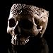 ChezMax Realistic Human Skull Resin Halloween Candy Bowl Flowerpot Dish Statue Sculpture Skeleton, 7.68 Inch, Floral Carved