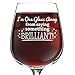 Seriously? I need more wine funny wine glass, 12.75 ounce, humorous, cool present idea for women, mom, daughter, wife, her, sister, coworker, or best friend
