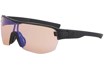 adidas rennradbrille