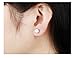 Platinum Plating Titanium Steel Princess 3A Rhinestone Stud Earrings for Womens
