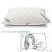 Cr Sleep Shredded Memory Foam Pillow with Bamboo Cover, Queen
