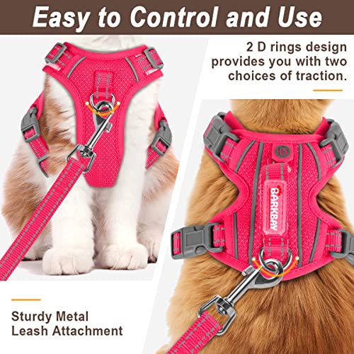 Cat Harness and Leash Set for Walking Escape Proof for Small Large cat Kitten Harness with ID