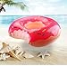 Dreambuilder Inflatable Pool Toys (Donut)