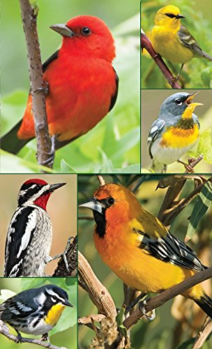 Songbirds Bridge Tally Sheets Bridge Playing Cards Accessory