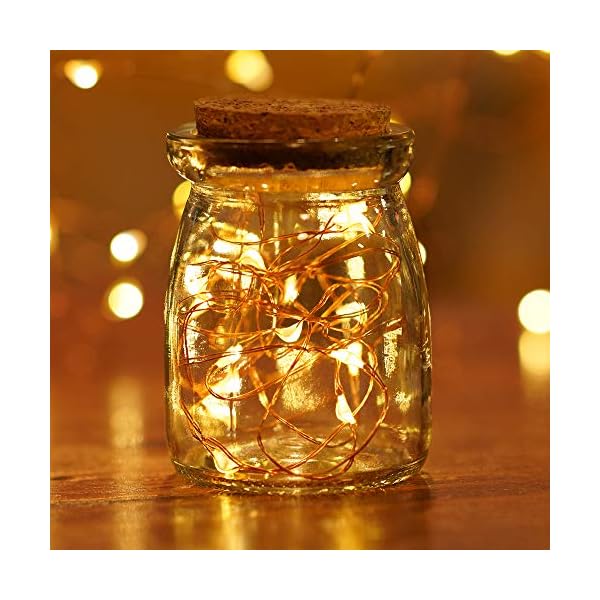 Christmas Lights Snowflake String Lights 19 6 Ft 40 Led Fairy