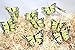 artificial butterfly. made of feather (3'' yellow monarch)