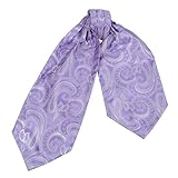 ERA1B01-03 Multi Paisley Cravat Woven Microfiber Mens Ascot Gift Ideas By Epoint