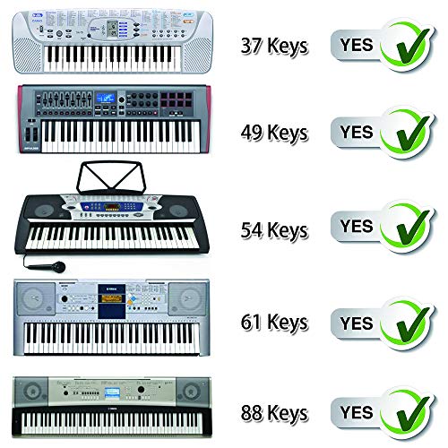 BIGTEDDY - Piano Stickers for 37/49/54/61/88 Key Keyboards - Tranparent Removable Labels for Kids Beginner Learning Music Note Suitable all Brands - Thumbnail 3