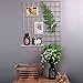 hosaken Multifunctional Grid Panel,Wall Decor/Sculptural Frames & Holders/Wall Display/Organizer, Pack of 2 Pcs, Size:25.6