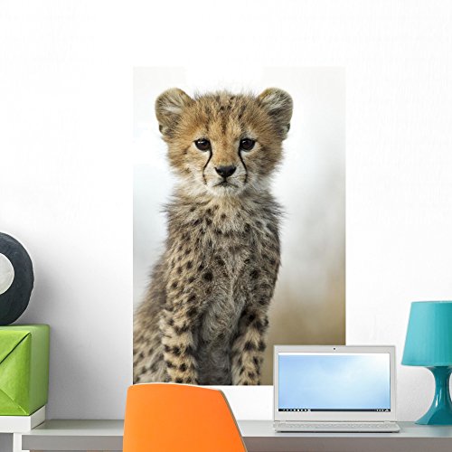 Cheetah Wall Art Kritters in the Mailbox Cheetah Canvas or Mural