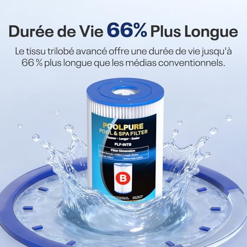 POOLPURE Lot de 6 Cartouche Type IV/B, Cartouche de Filtration B pour 58095 et 29005/59905, Filtre de Piscine pour Pompe de Filtration, 14,5 x 14,5 x 25,5 cm