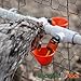 Pressure Regulator with Gauge for Backyard Flock Automatic Poultry Watering System